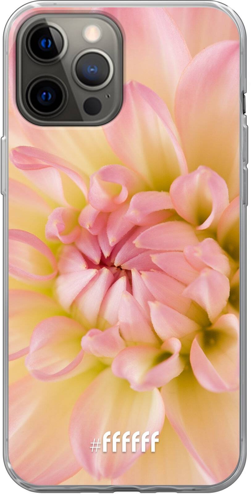 Pink Petals iPhone 12 Pro Max
