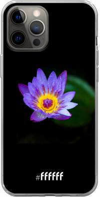 Purple Flower in the Dark iPhone 12 Pro Max