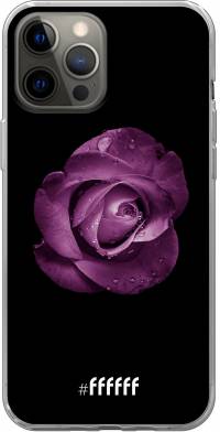 Purple Rose iPhone 12 Pro Max