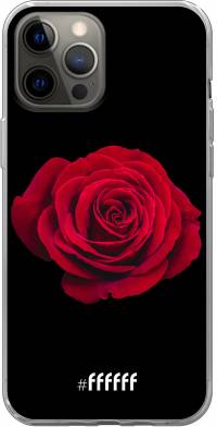 Radiant Rose iPhone 12 Pro Max