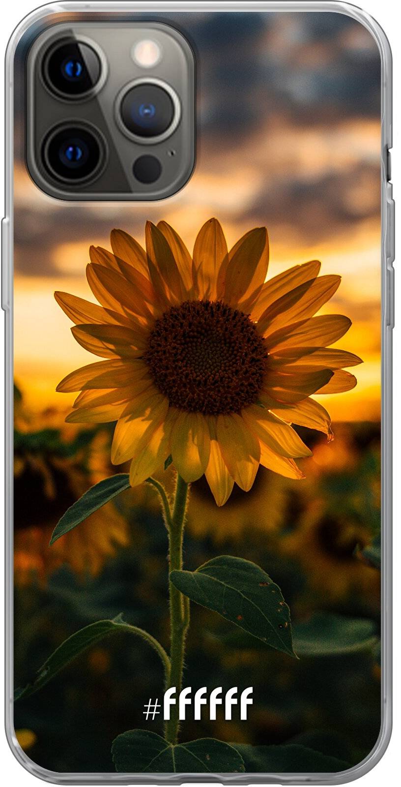 Sunset Sunflower iPhone 12 Pro Max