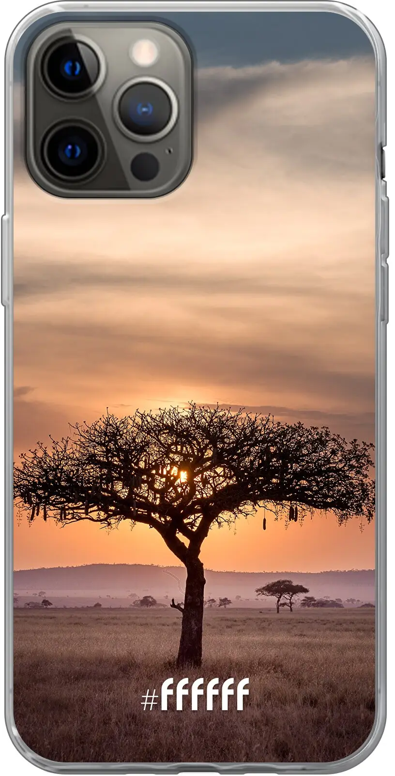 Tanzania iPhone 12 Pro Max