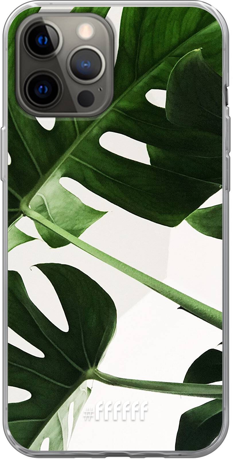 Tropical Plants iPhone 12 Pro Max