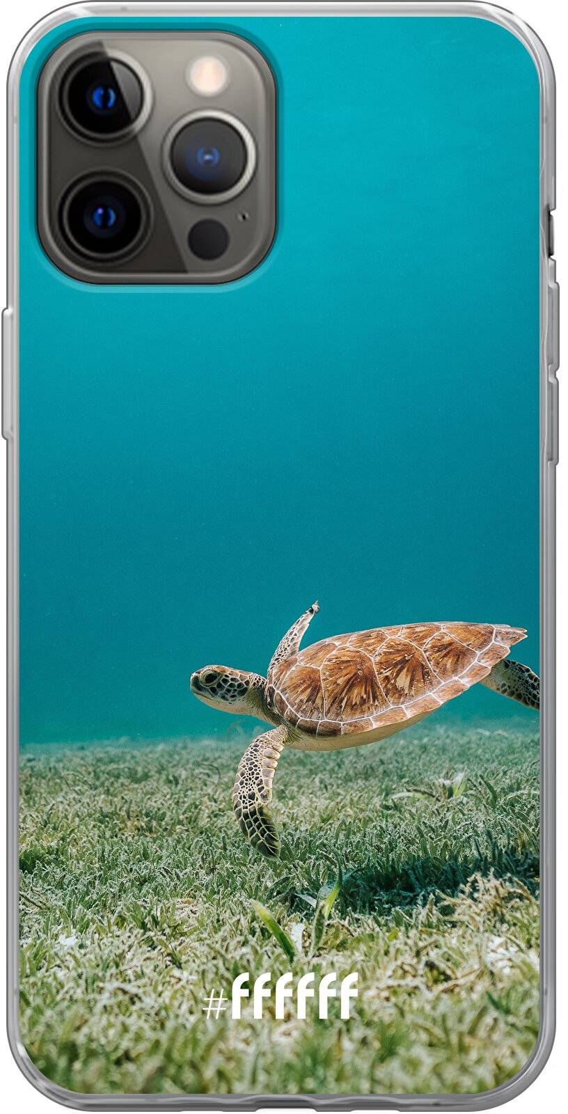 Turtle iPhone 12 Pro Max