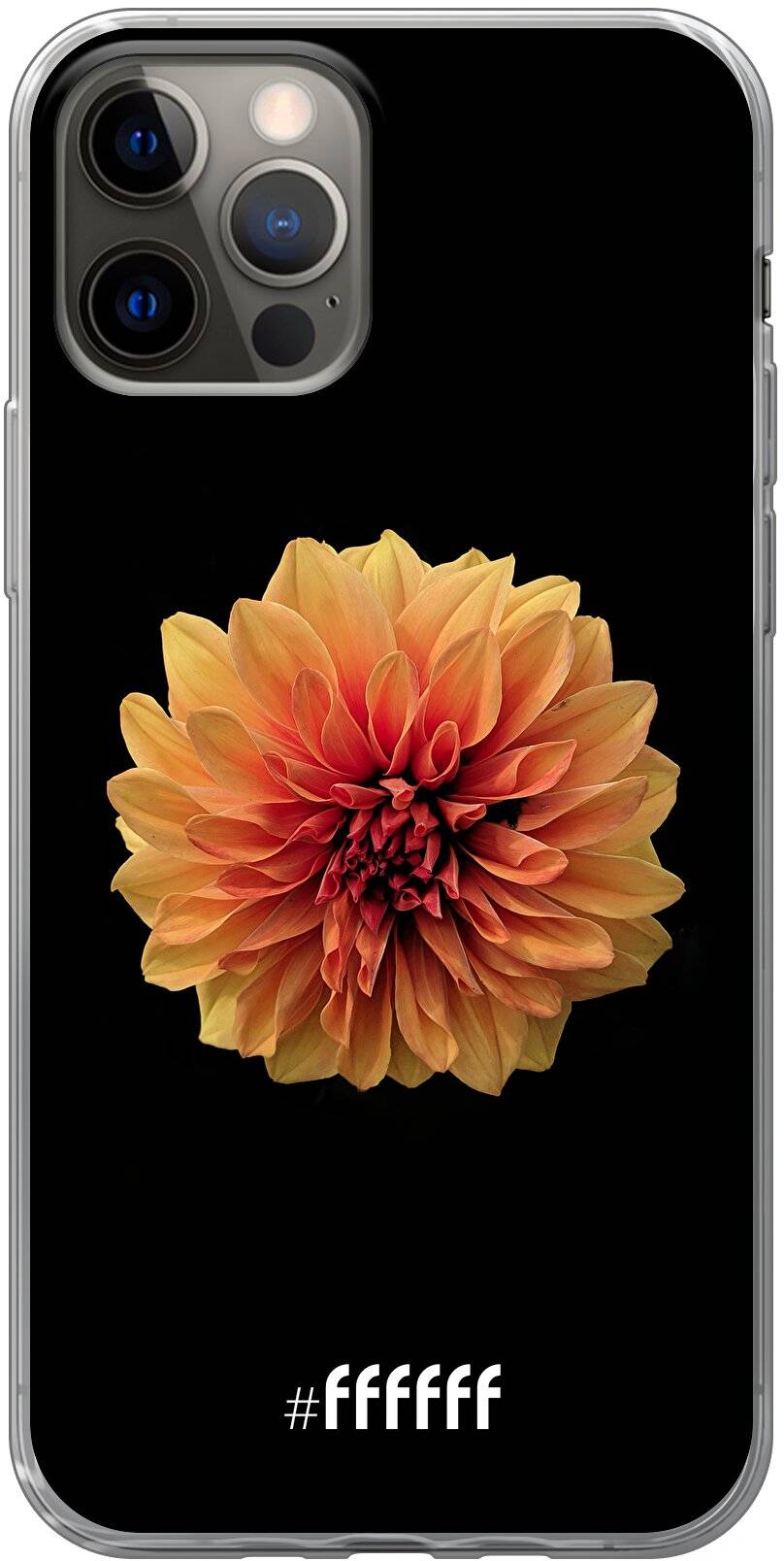 Butterscotch Blossom iPhone 12 Pro