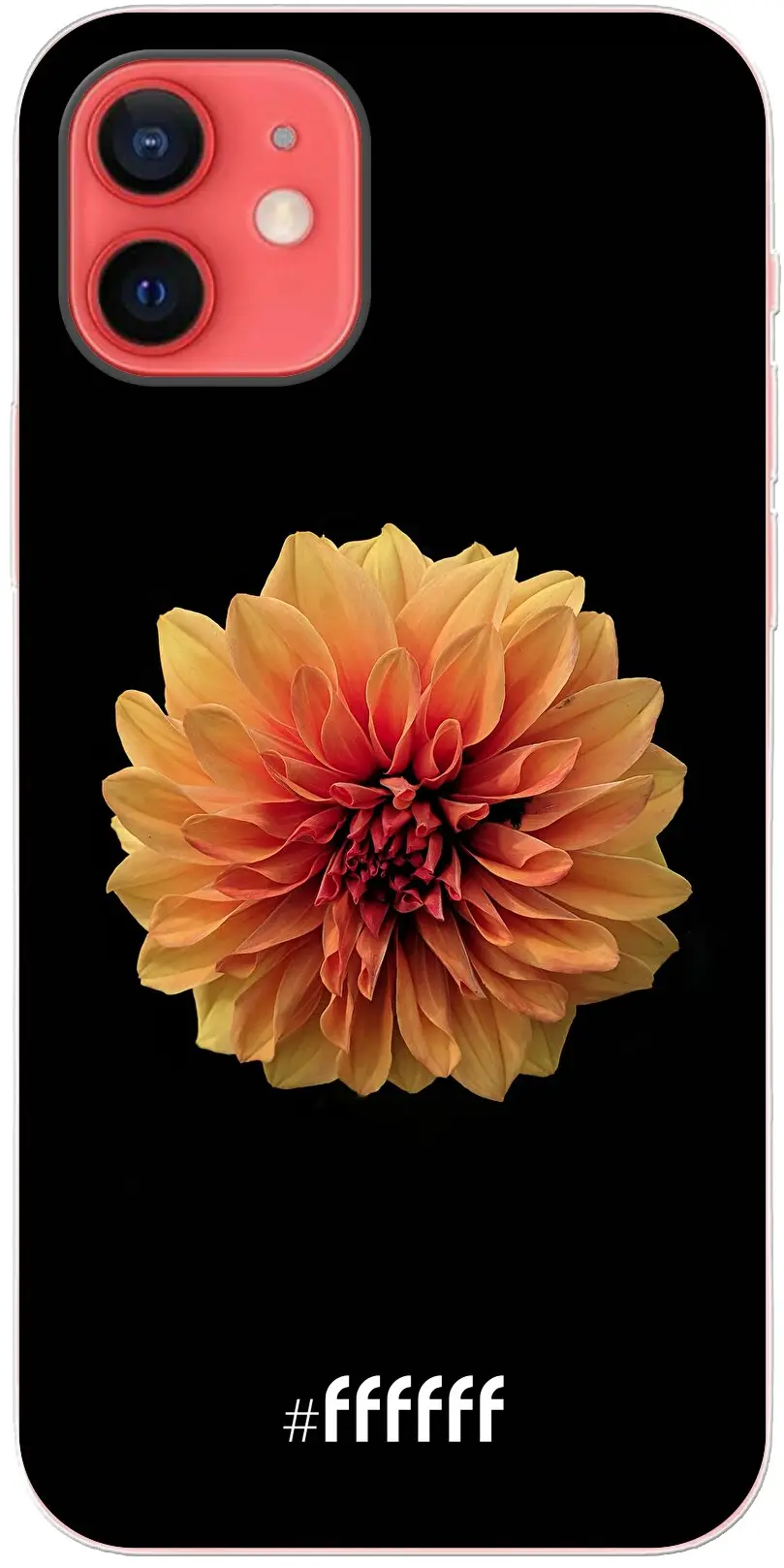 Butterscotch Blossom iPhone 12 Pro