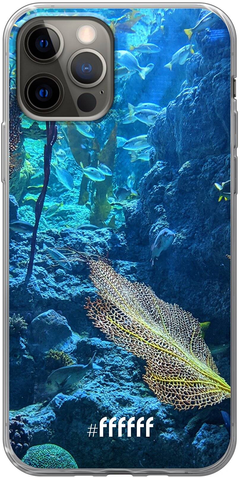 Coral Reef iPhone 12 Pro
