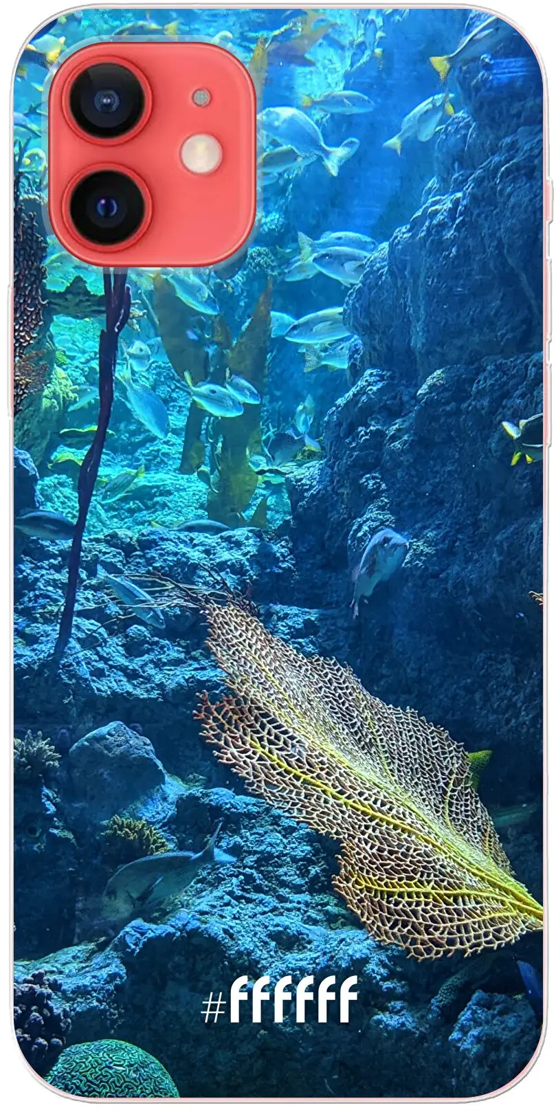 Coral Reef iPhone 12 Pro