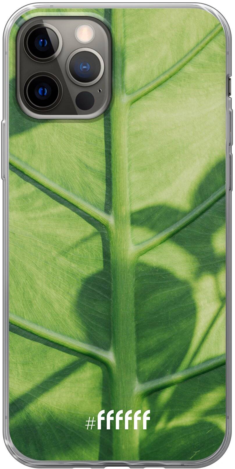 Leaves Macro iPhone 12 Pro