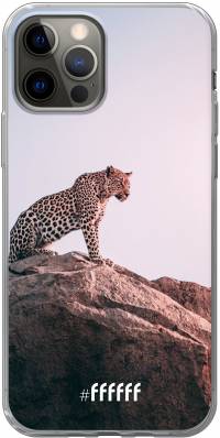 Leopard iPhone 12 Pro