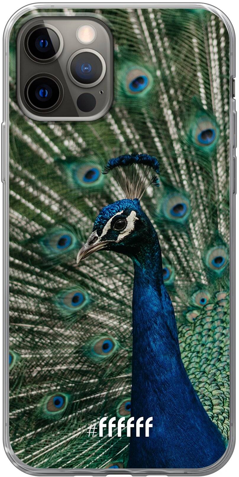 Peacock iPhone 12 Pro