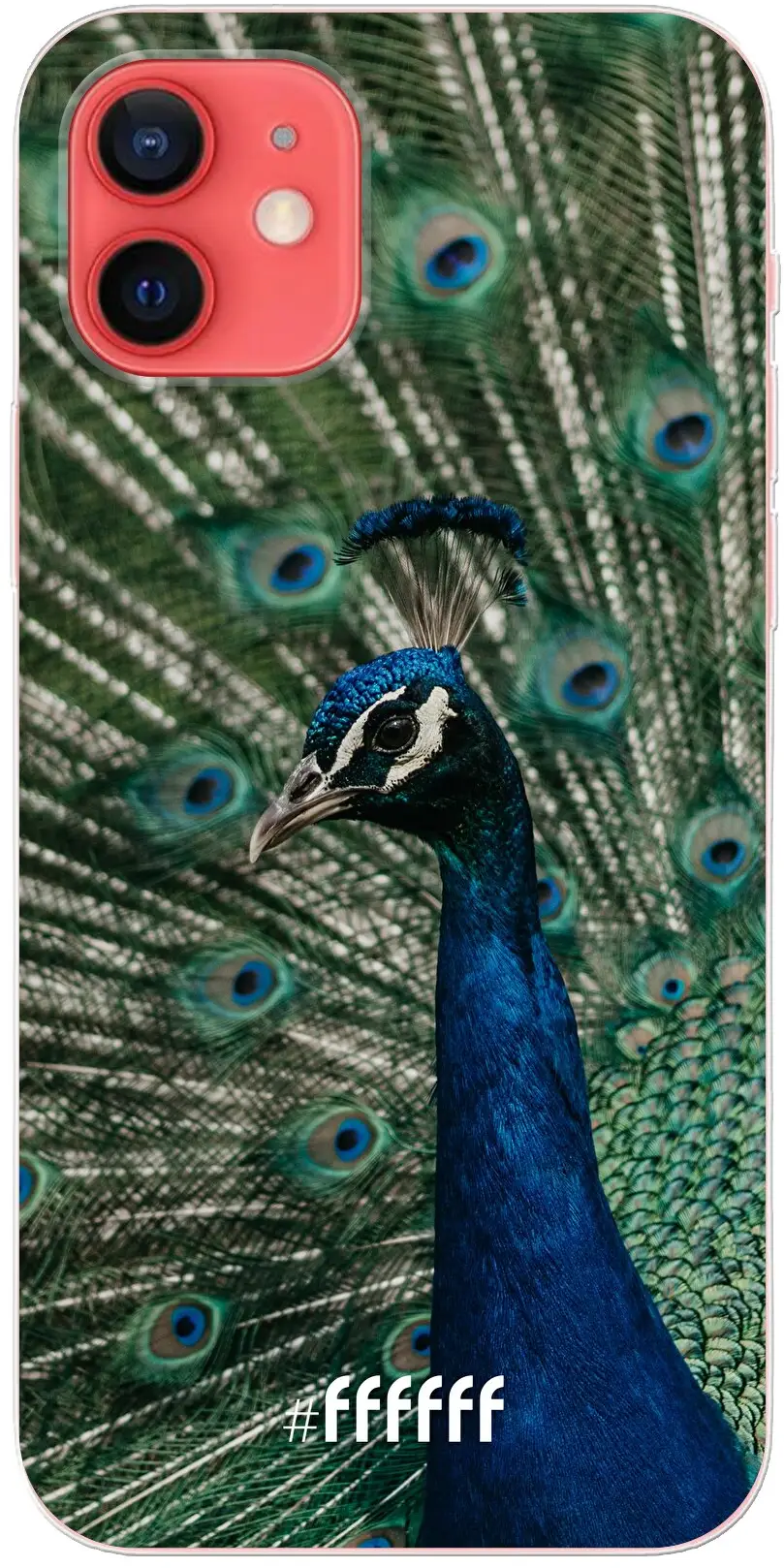 Peacock iPhone 12 Pro