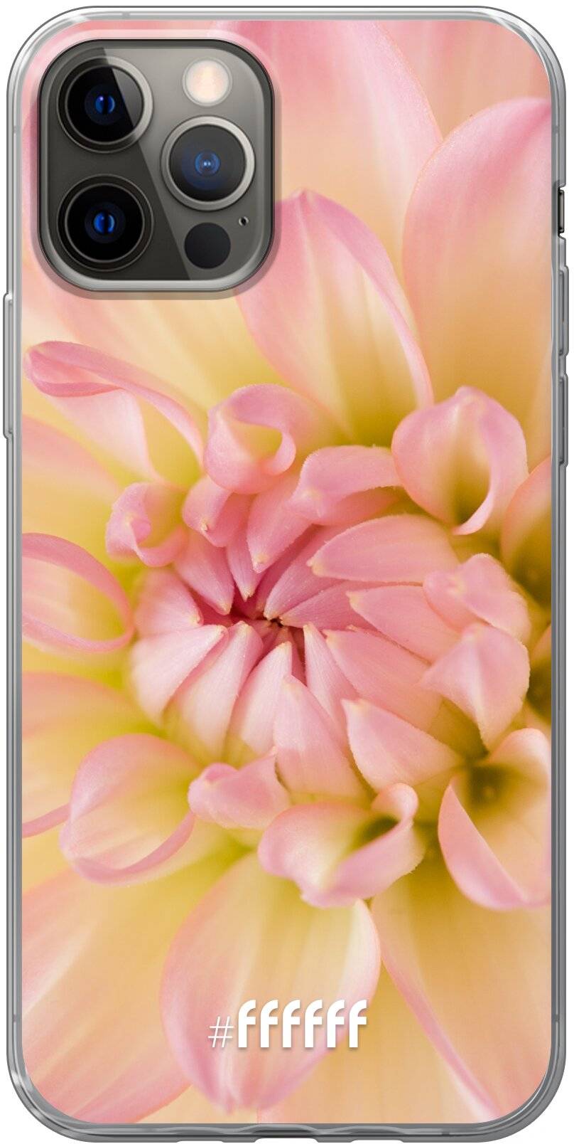 Pink Petals iPhone 12 Pro