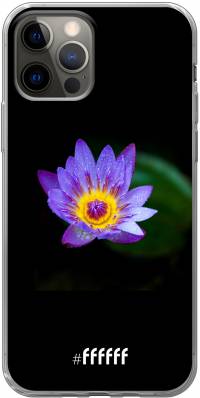 Purple Flower in the Dark iPhone 12 Pro