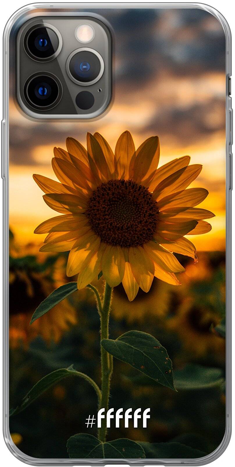 Sunset Sunflower iPhone 12 Pro