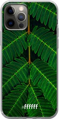 Symmetric Plants iPhone 12 Pro