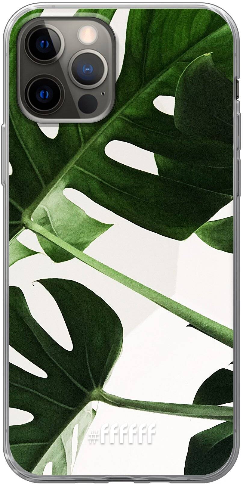 Tropical Plants iPhone 12 Pro