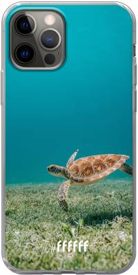 Turtle iPhone 12 Pro