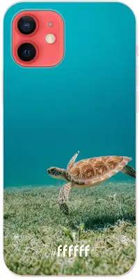 Turtle iPhone 12 Pro