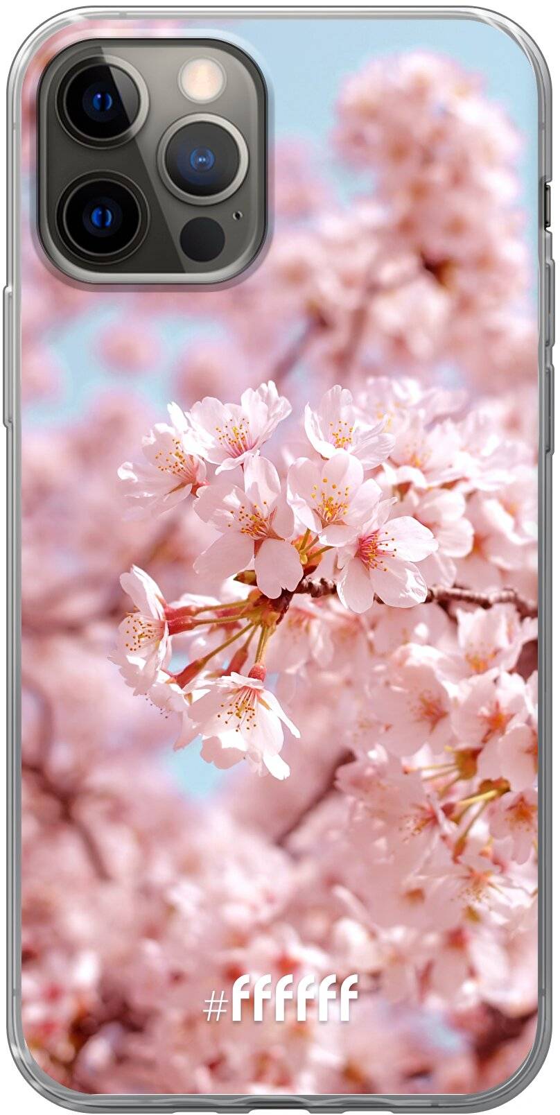 Cherry Blossom iPhone 12