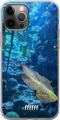 Coral Reef iPhone 12