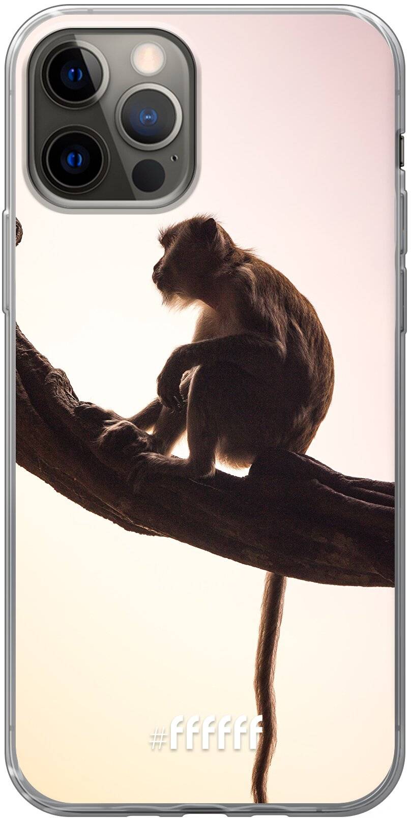 Macaque iPhone 12