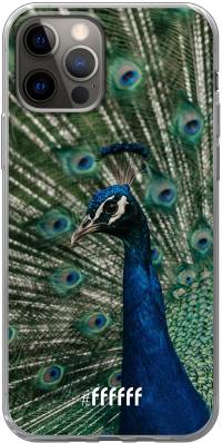 Peacock iPhone 12