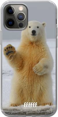 Polar Bear iPhone 12