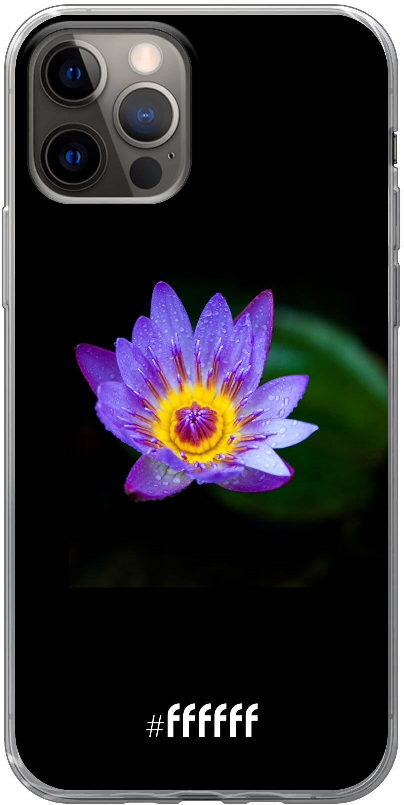 Purple Flower in the Dark iPhone 12
