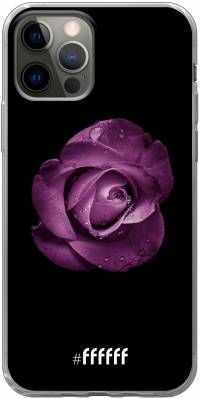 Purple Rose iPhone 12