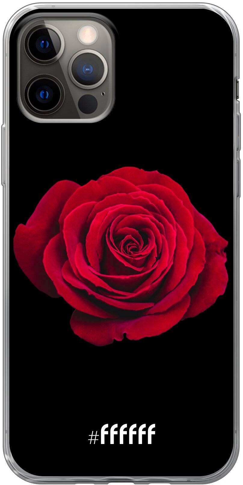 Radiant Rose iPhone 12