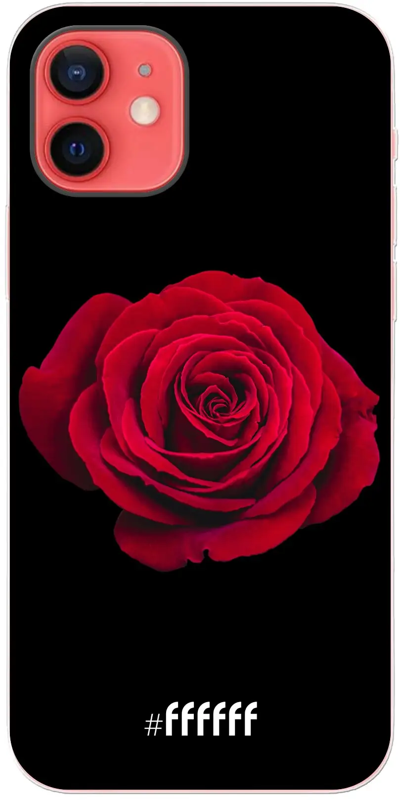 Radiant Rose iPhone 12