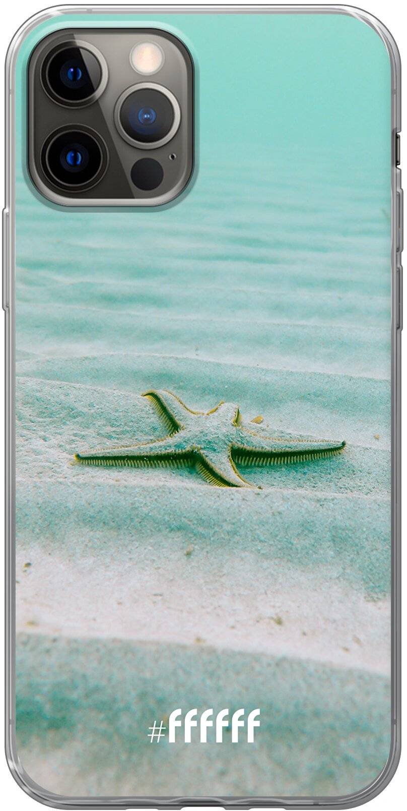 Sea Star iPhone 12