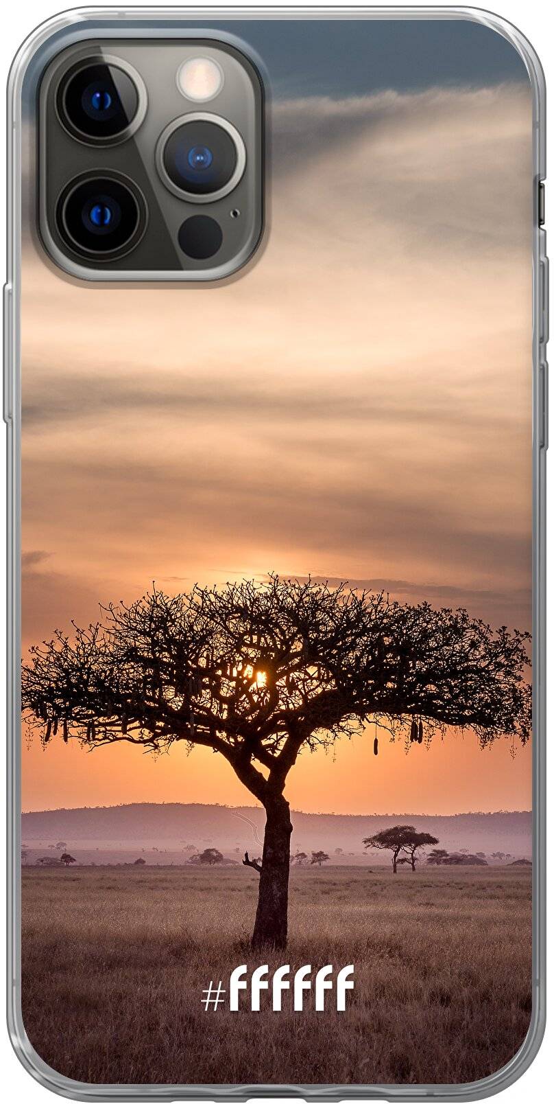 Tanzania iPhone 12