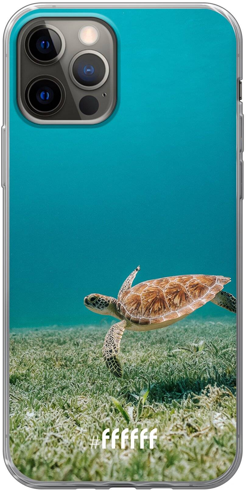 Turtle iPhone 12