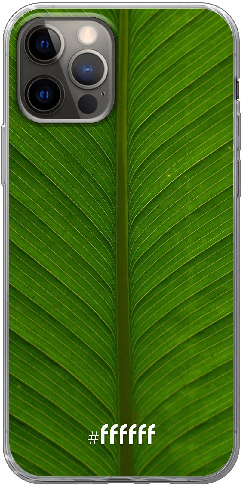 Unseen Green iPhone 12
