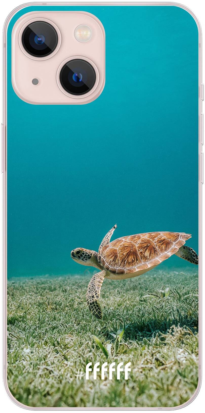 Turtle iPhone 13 Mini