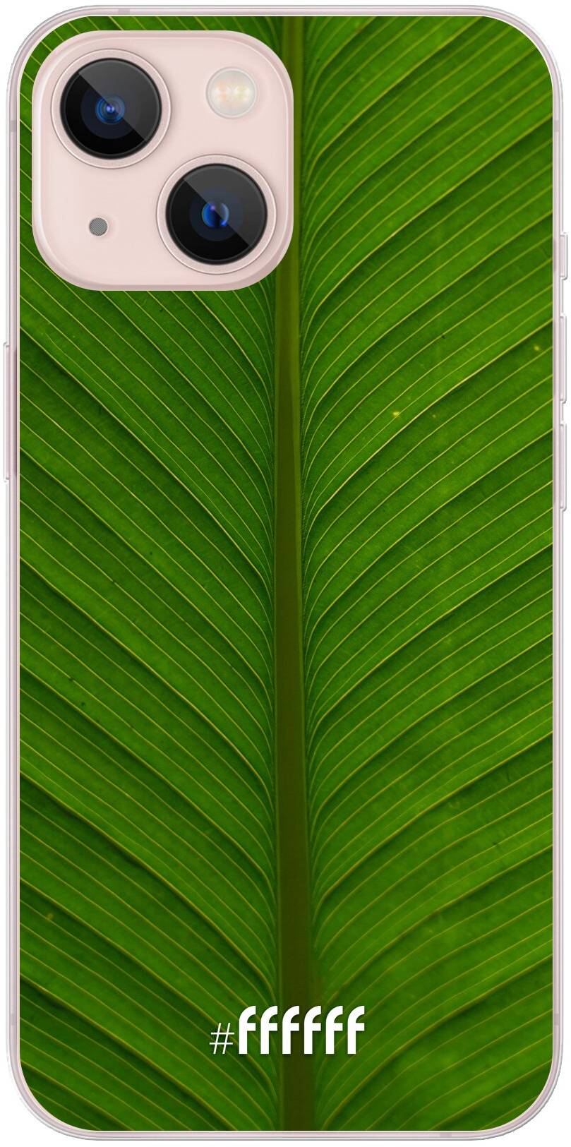Unseen Green iPhone 13 Mini