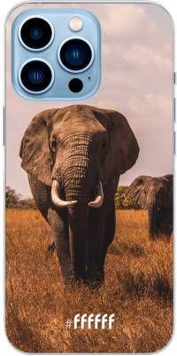 Elephants iPhone 13 Pro Max