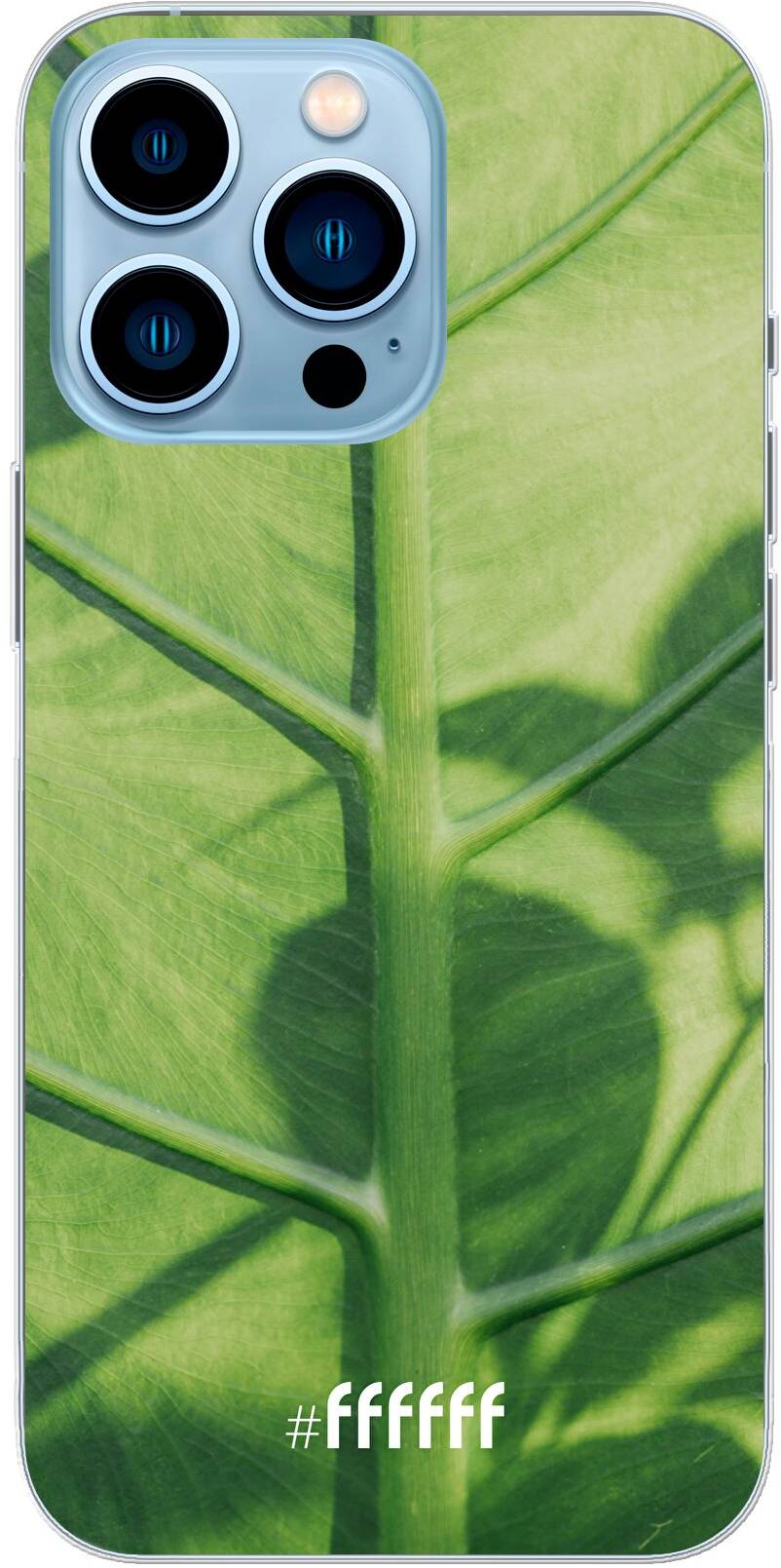 Leaves Macro iPhone 13 Pro Max