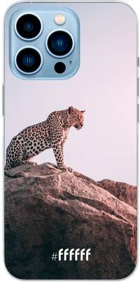 Leopard iPhone 13 Pro Max