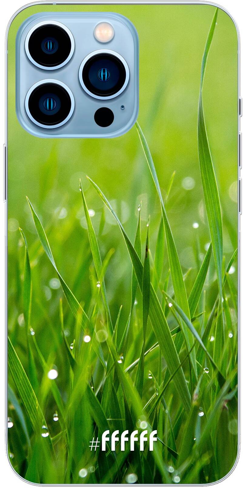 Morning Dew iPhone 13 Pro Max