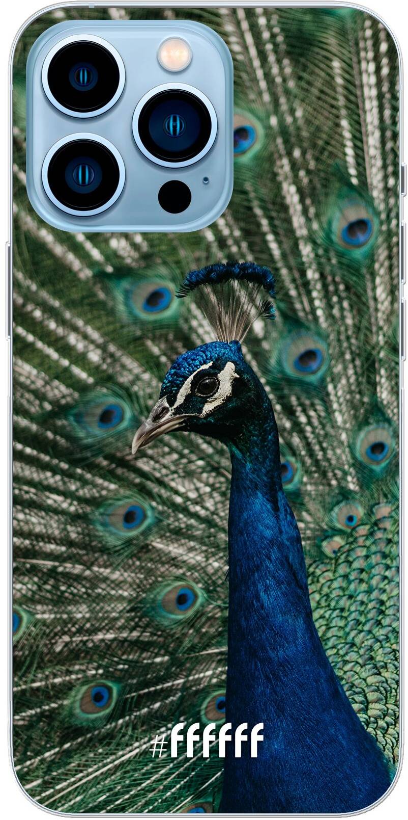 Peacock iPhone 13 Pro Max
