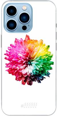 Rainbow Pompon iPhone 13 Pro Max