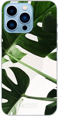 Tropical Plants iPhone 13 Pro Max