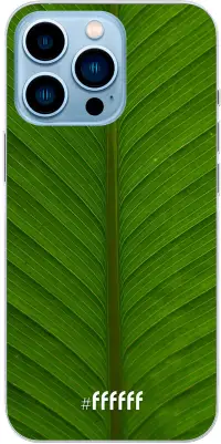 Unseen Green iPhone 13 Pro Max