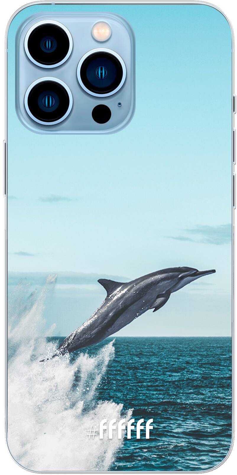 Dolphin iPhone 13 Pro