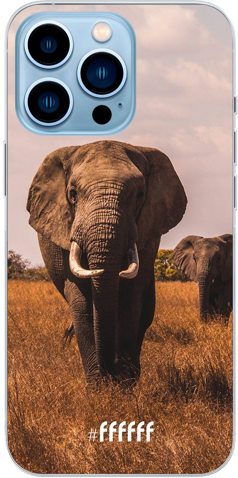 Elephants iPhone 13 Pro