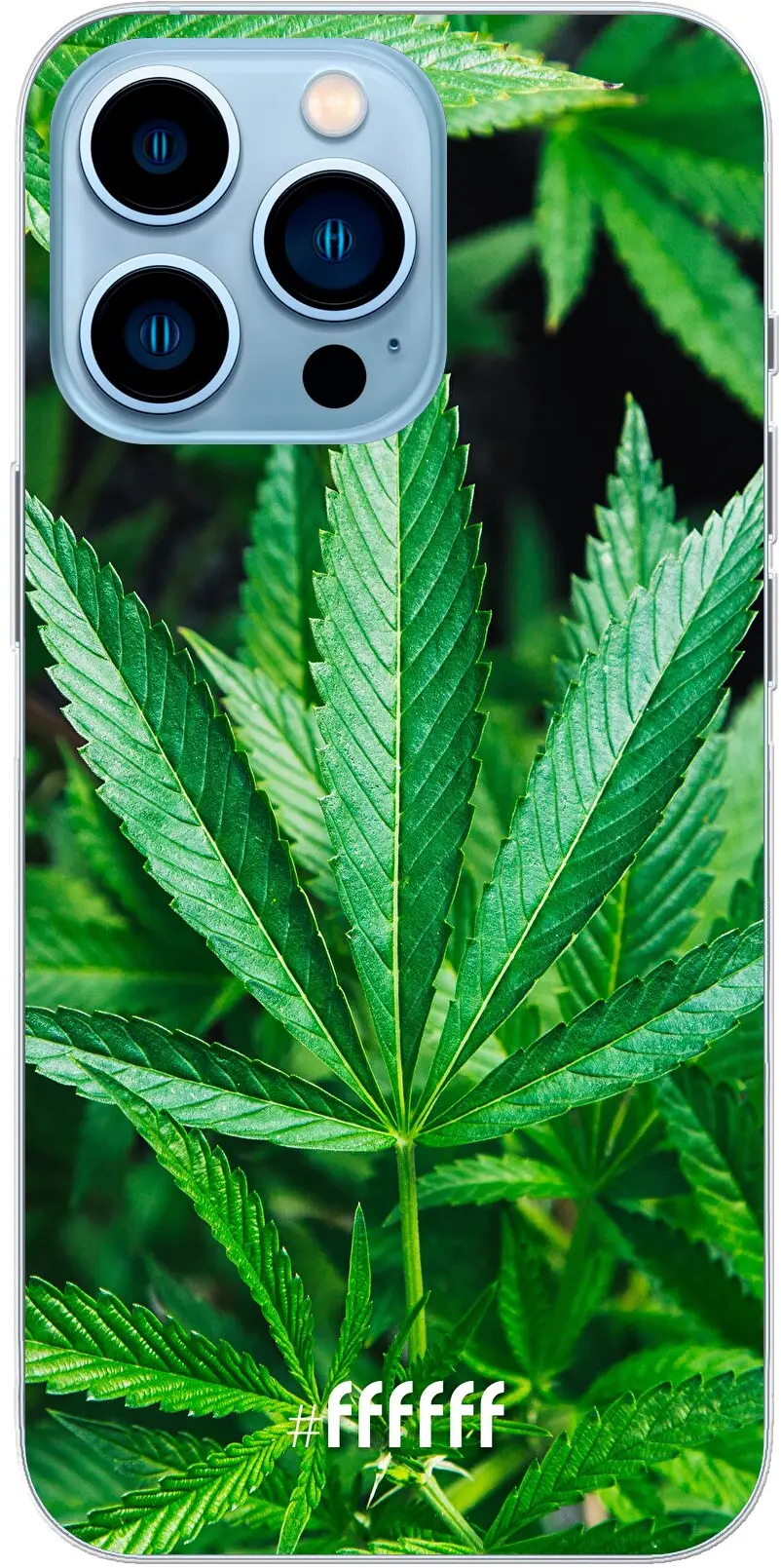 Mary Jane iPhone 13 Pro