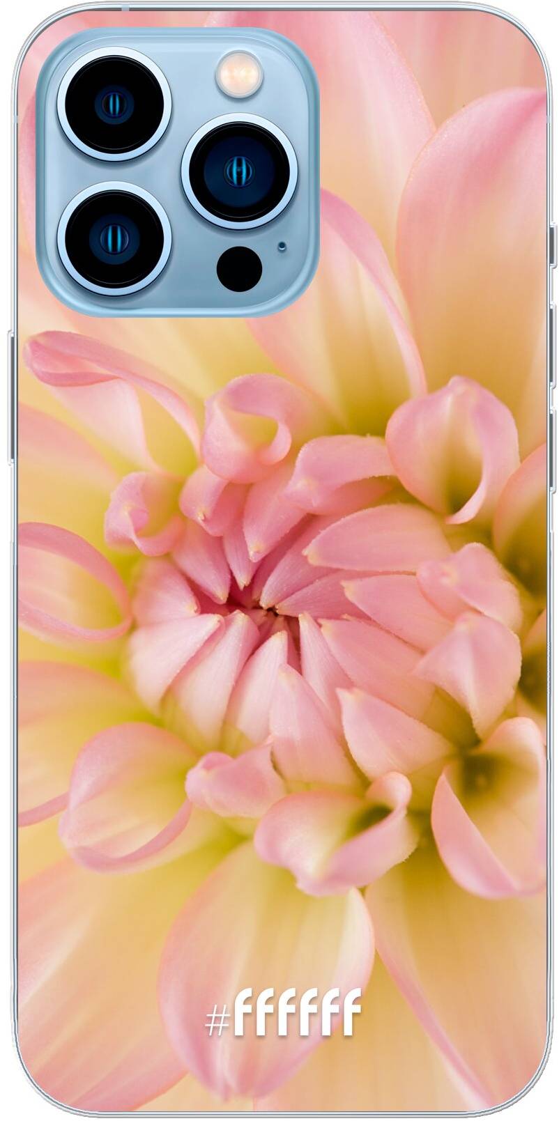Pink Petals iPhone 13 Pro